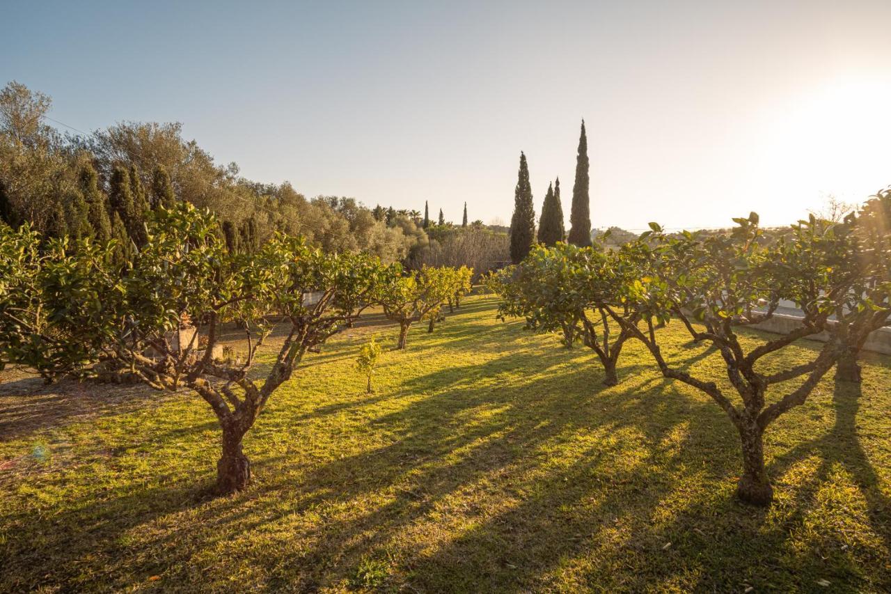 Finca Montana Sant Joan Экстерьер фото